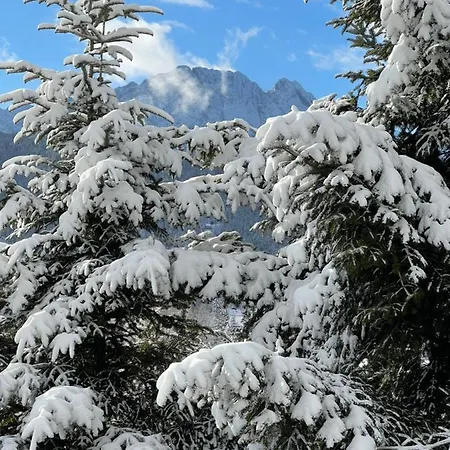 Kwatera Gorska 903mnpm * Zakopane